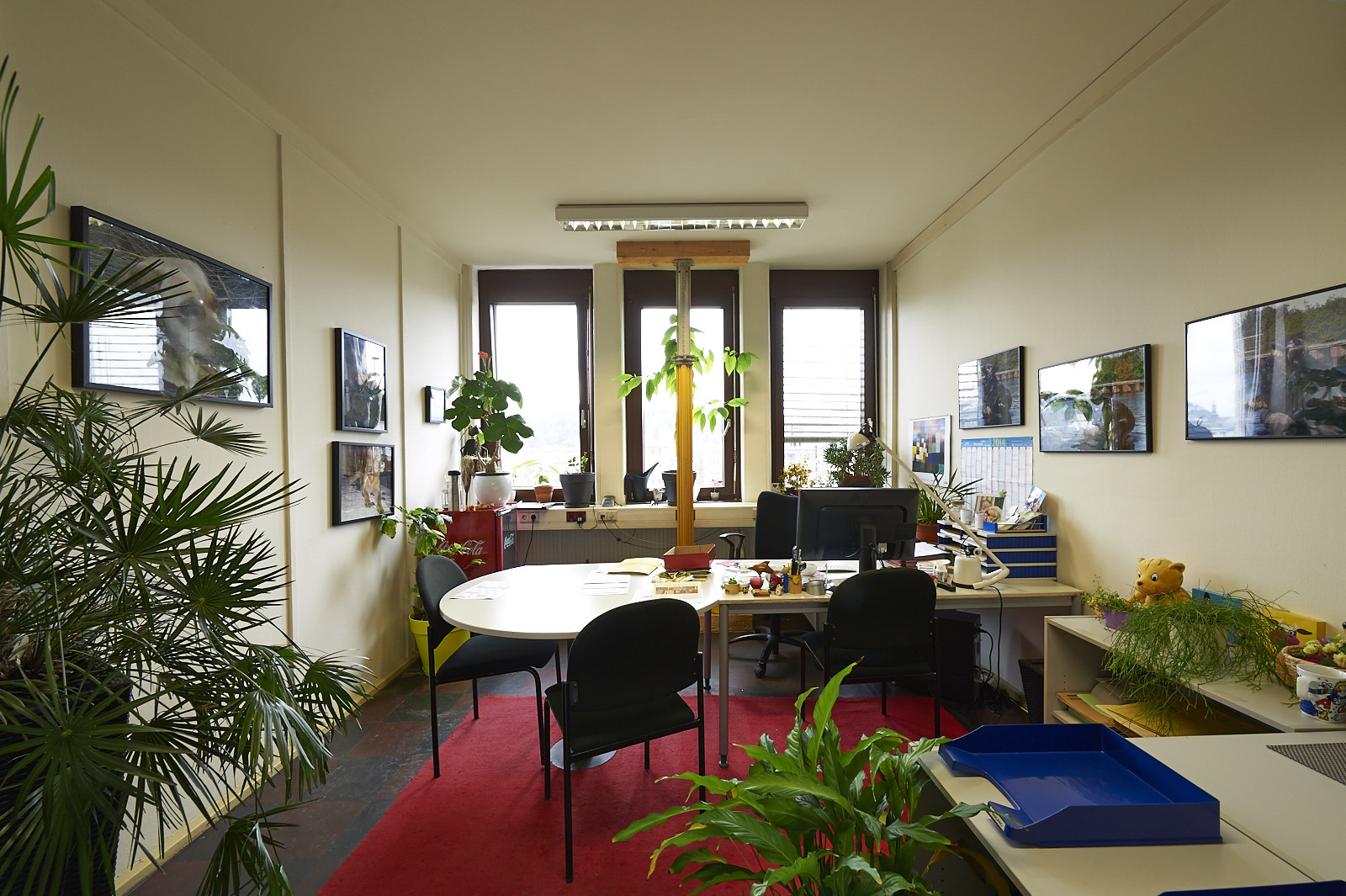 Foto-Dokumentation der ehemaligen Französischen Botschaft in Saarbrücken, Saarbrücken, Saarland — Ansicht 7