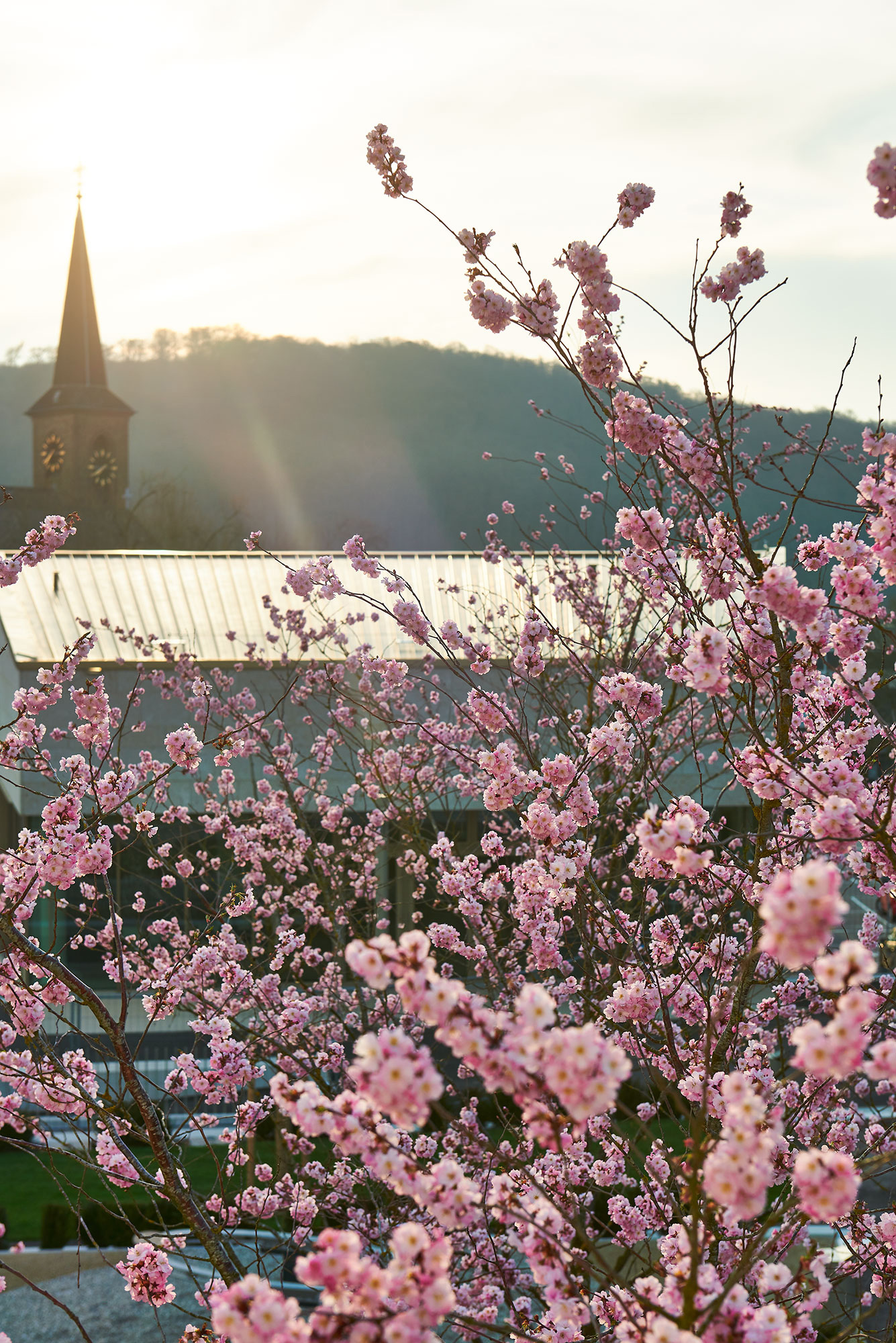 Fotografien Aussenanlagen Haus der Kultur »Q-Lisse«, Quierschied, Saarbrücken, Quierschied, Saarland — Detailansicht