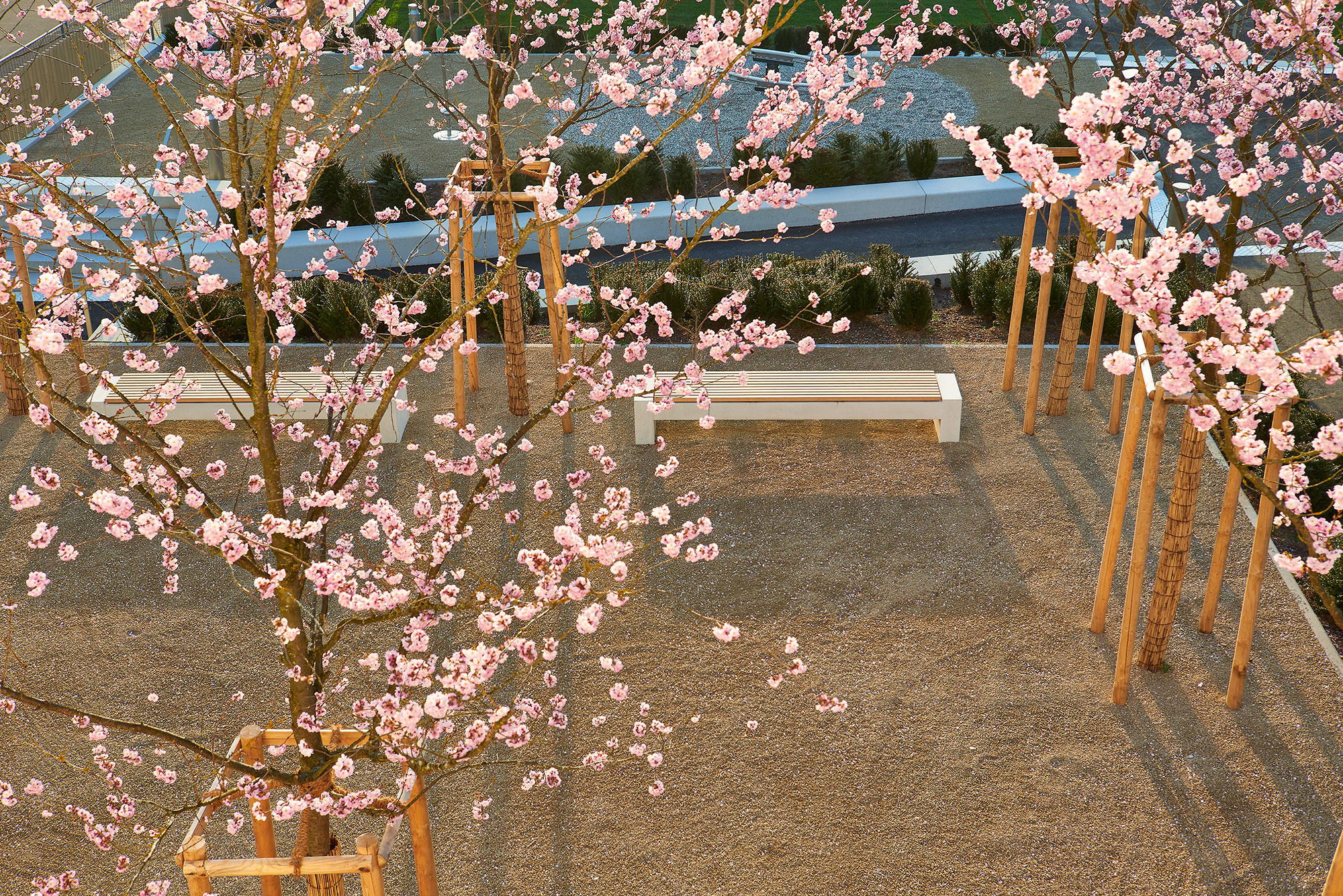 Fotografien Aussenanlagen Haus der Kultur »Q-Lisse«, Quierschied, Saarbrücken, Quierschied, Saarland — Blick 5