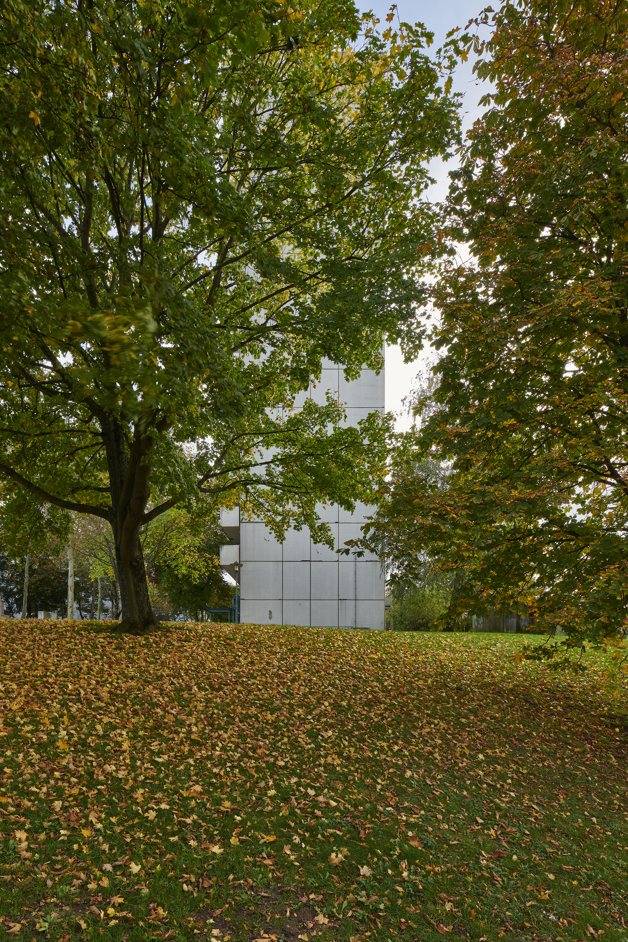 Dokumentationsfotografien »Am Königsbruch 1-5«, Saarbrücken, Saarbrücken, Saarland — Detail 6