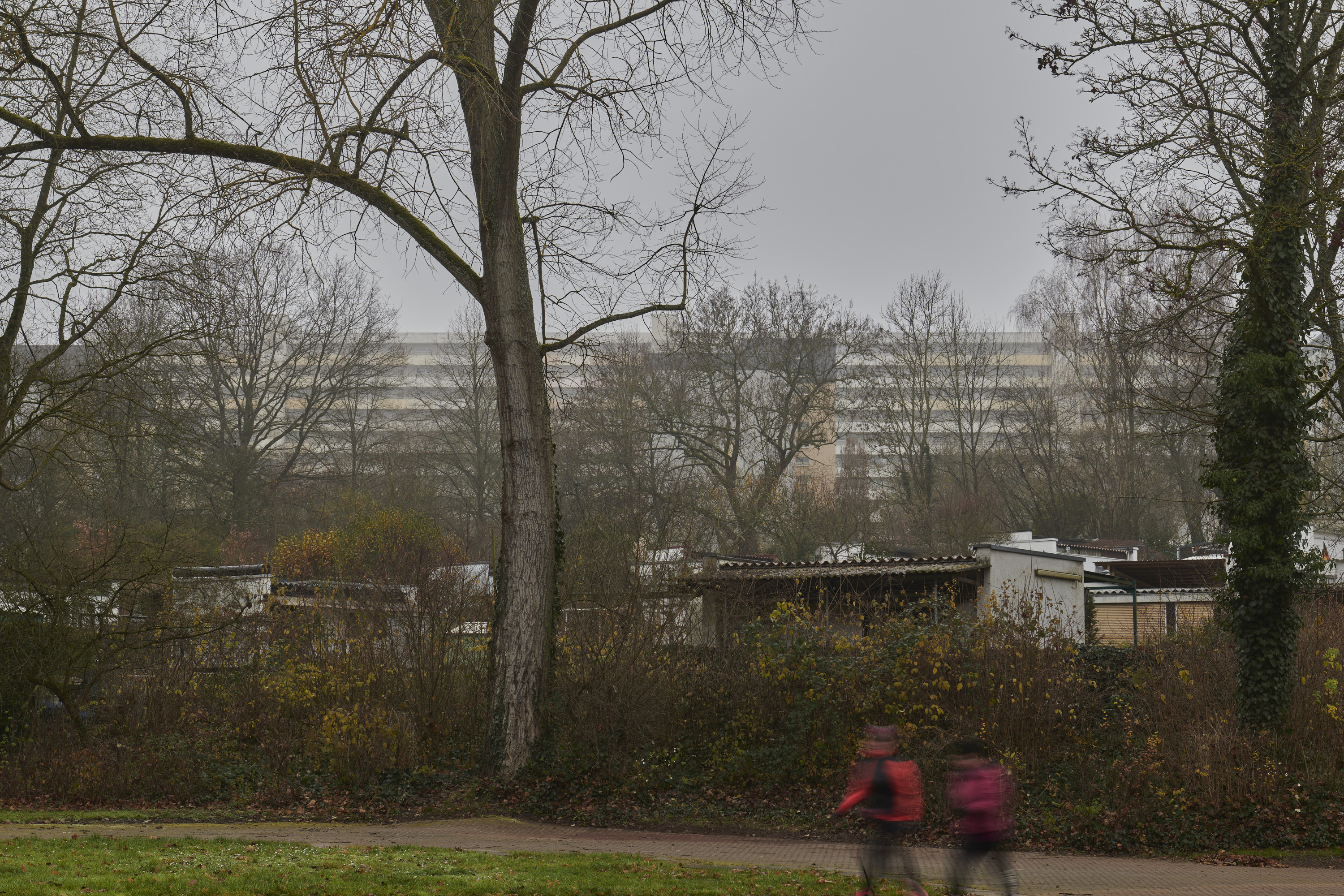 Dokumentationsfotografien »Am Königsbruch 1-5«, Saarbrücken, Saarbrücken, Saarland — Ansicht 17
