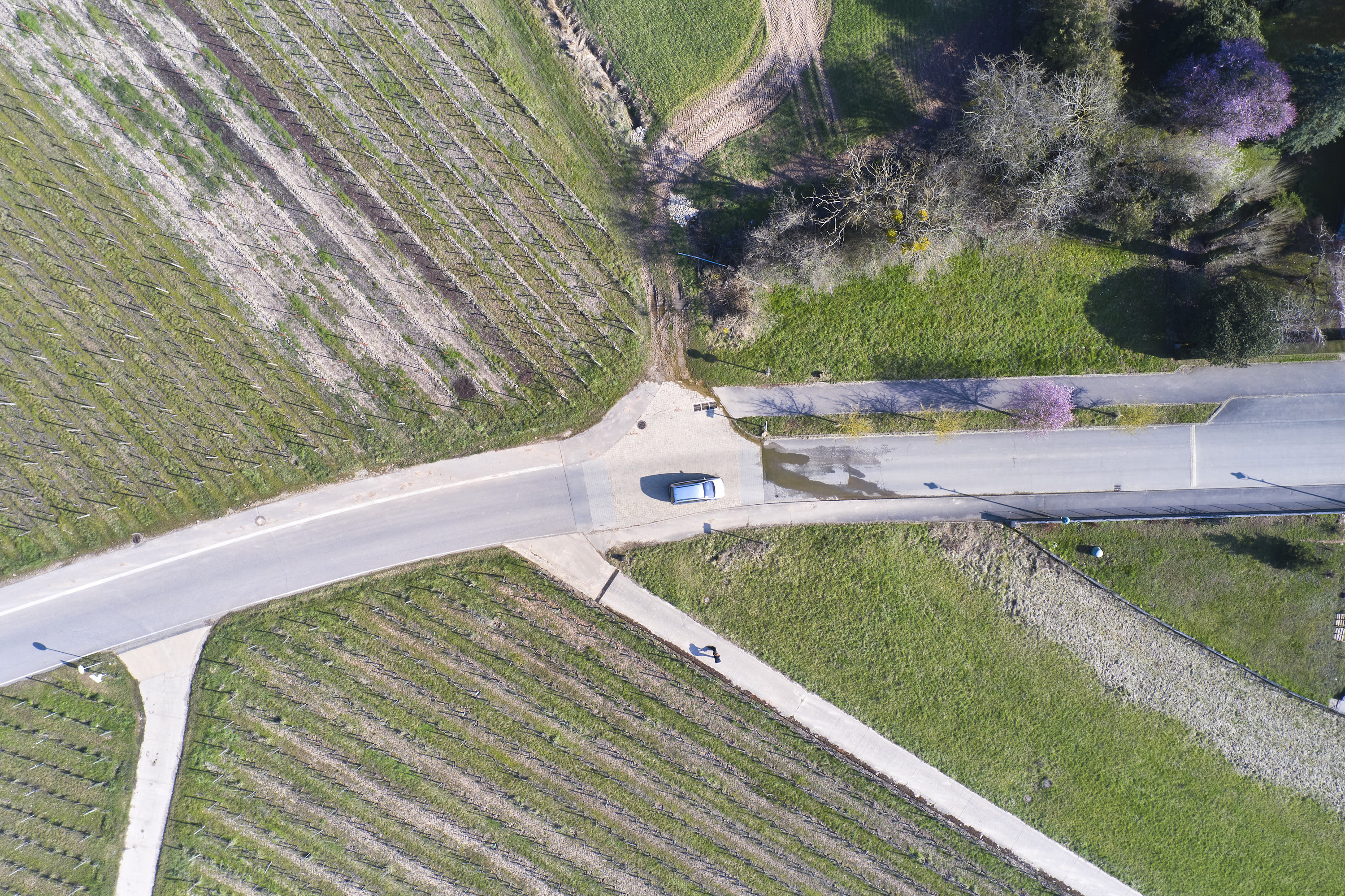 Immer noch: Grenzübergange in Corona-Zeiten..., Saarland, Lothringen, Luxemburg — Aufnahme 119