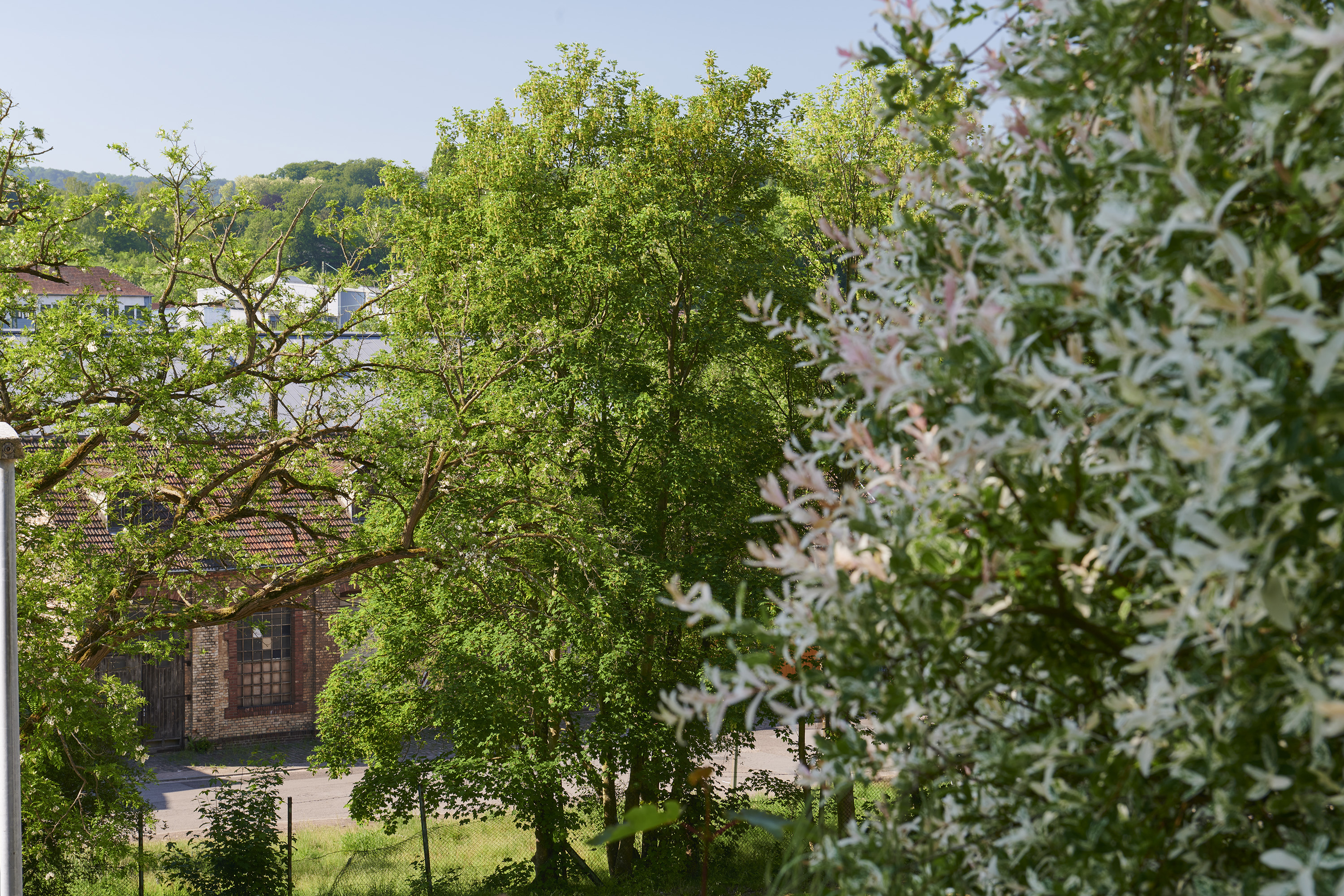 Fotografien »Alte Schmelz«, St. Ingbert, St. Ingbert, Saarland — Ansicht 22