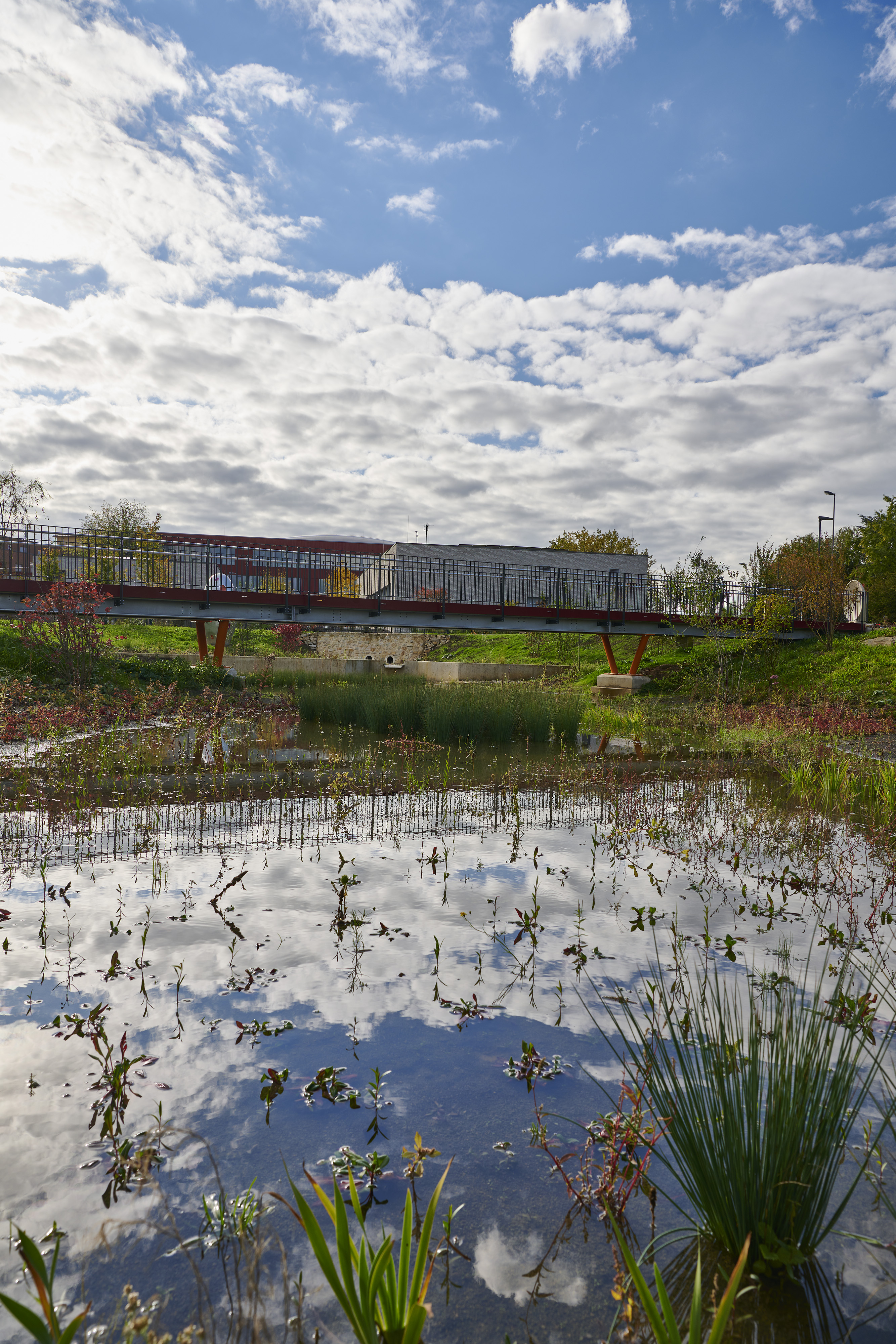 Fotografien Schulkomplex mit Kita und Retentionspark Wobrécken, Esch an der Alzette — Das Regenwasser versickert im Park. Überschüssiges Wasser wird über einen Überlauf in die Dippach geleitet