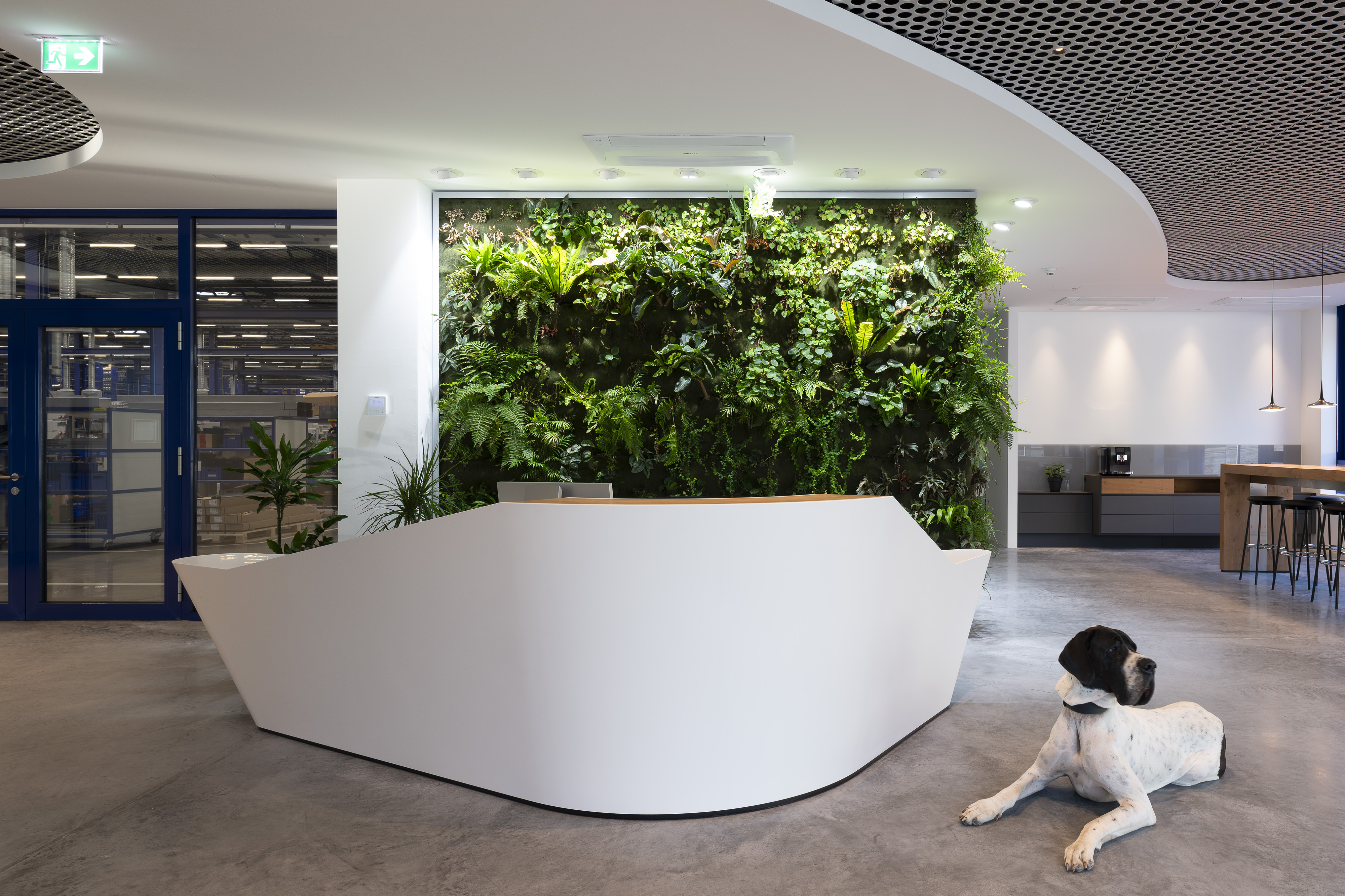 Neubau Montagehalle E, Woll Maschinenbau, Saarbrücken, Foto 7 von 7