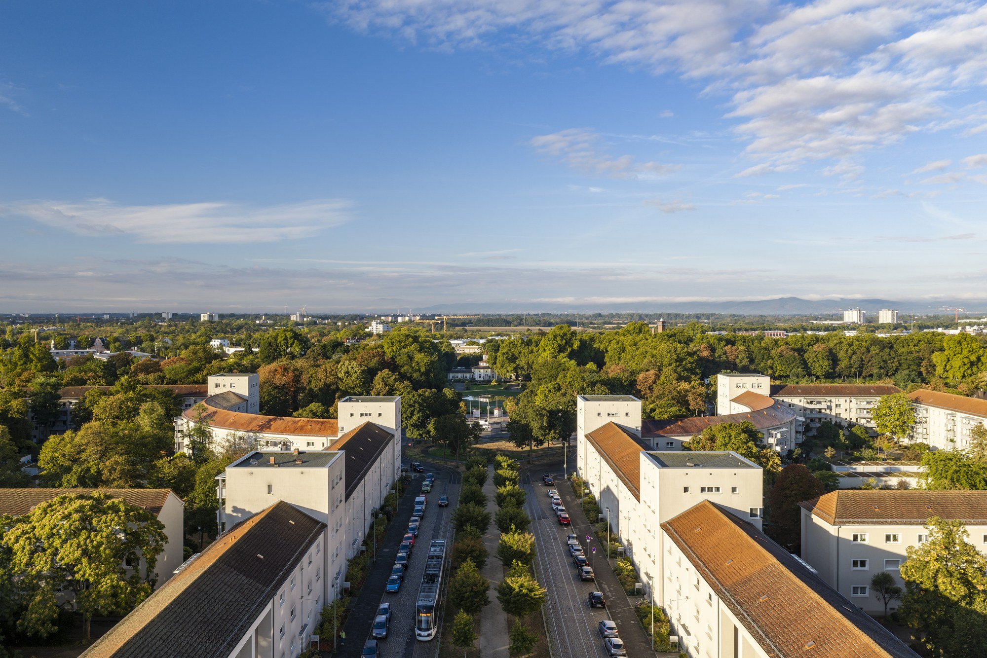 Ebertsiedlung, Ludwigshafen am Rhein — Luftbild der Wohnzeilen entlang der baumbestandenen Achse, am Horizont die Rheinebene