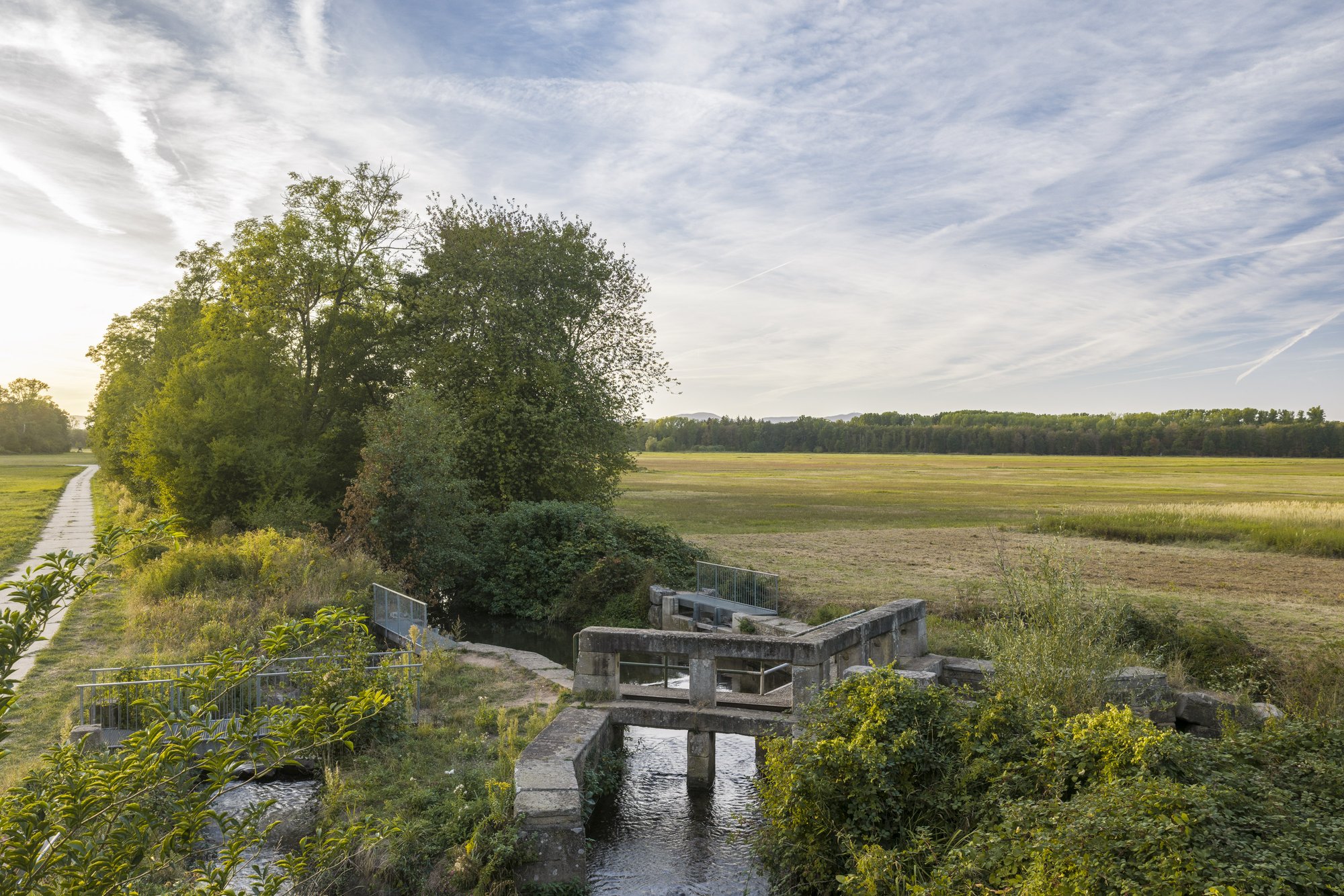 Teilungswehr in den Queichwiesen, Ottersheim — die Wehranlage zwischen Baumgruppe und offener Wiesenfläche im Abendlicht
