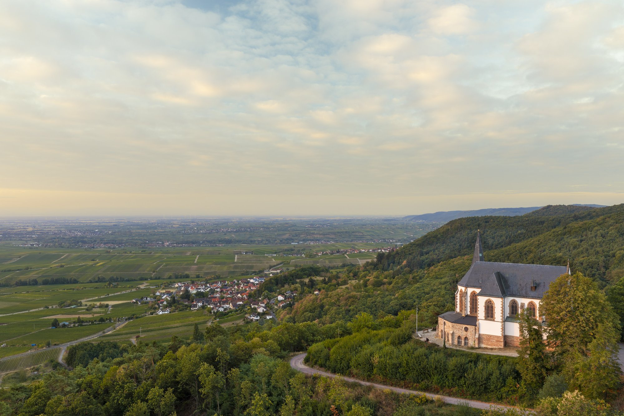St.-Anna-Kapelle, Burrweiler — Luftbild über die Weinberge, die Kapelle auf dem Bergsporn am Haardtrand, dahinter die offene Rheinebene