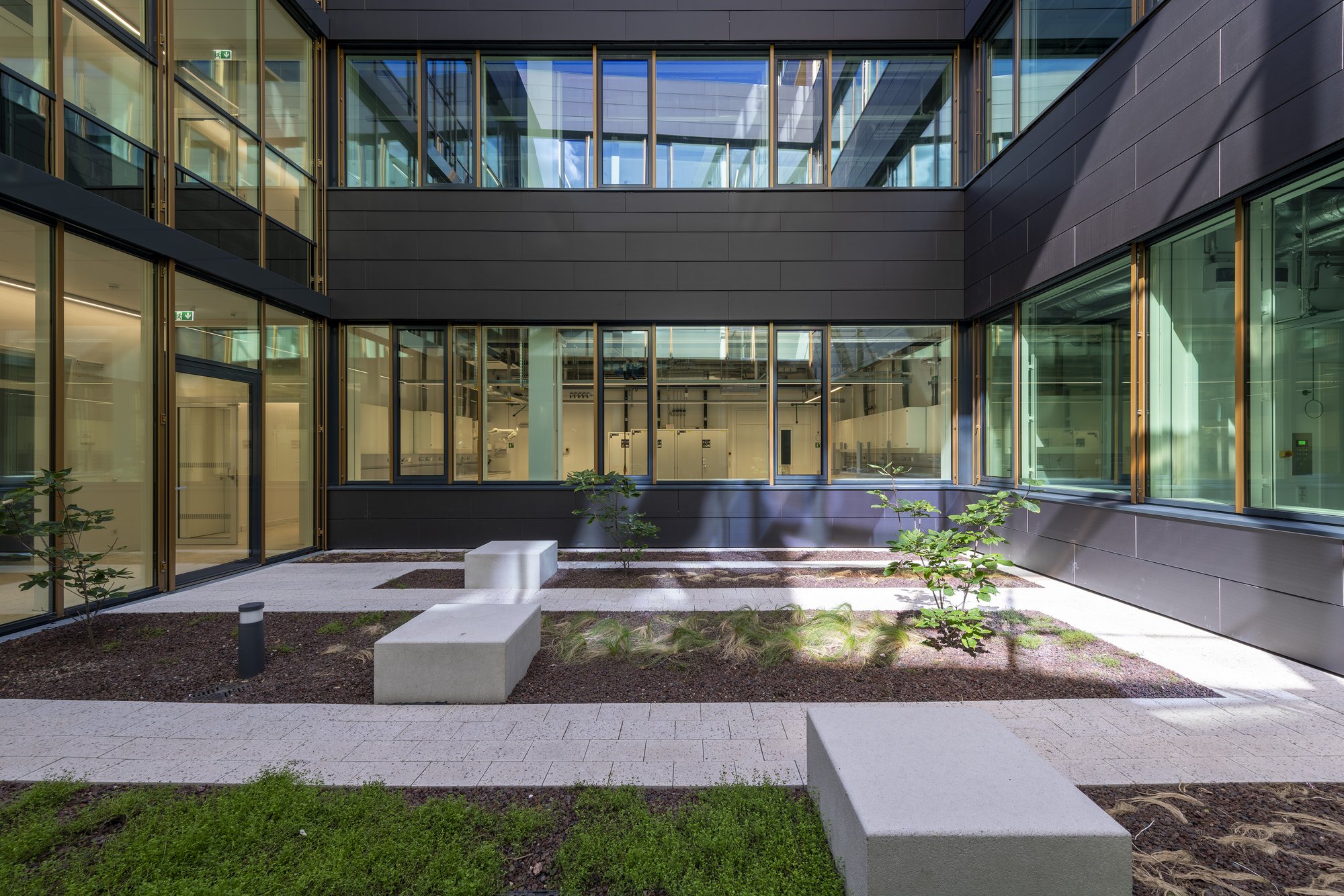 Architekturfotografie Zentrum für Biophysik ZBP, Saarbrücken — Zweiter Innenhof mit Betonsitzblöcken und junger Bepflanzung