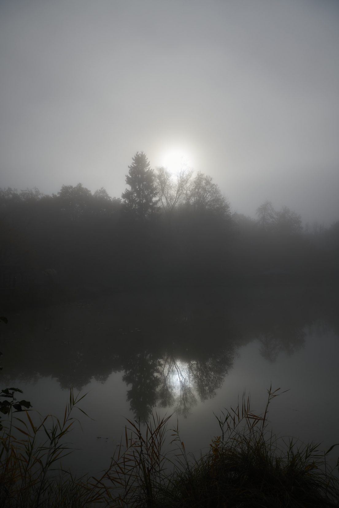 Landschaftsfotografie von Marco Kany: Die Morgensonne im November an einem Weiher in der Nähe von Sitterwald